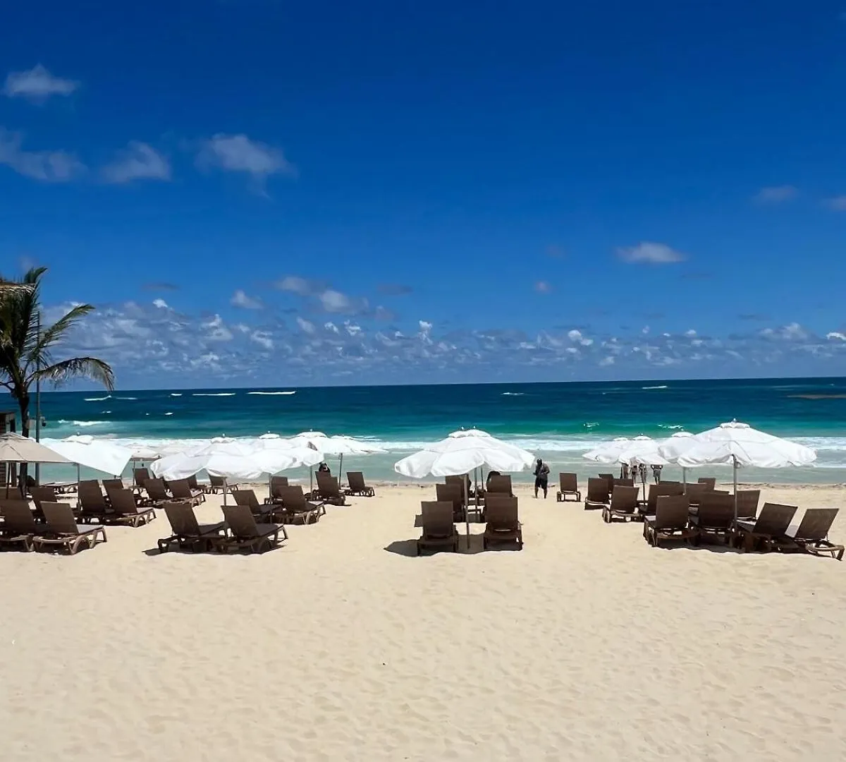 Cana Rock Beach Club 蓬塔卡纳 0*,  多米尼加共和国